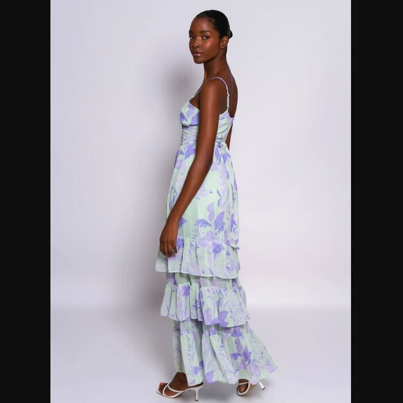 NWT Hutch Imani Maxi Dress - Sz S - Patina Tropical Foliage - Picture 5 of 5